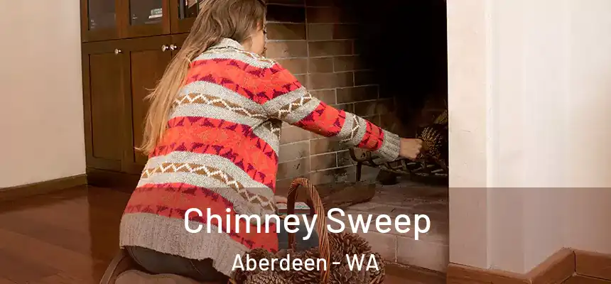  Chimney Sweep Aberdeen - WA