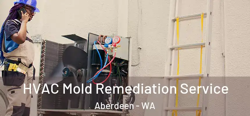  HVAC Mold Remediation Service Aberdeen - WA