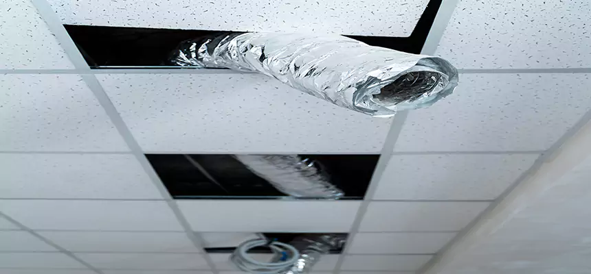 Affordable HVAC Sanitizing After Pest Removal in Aberdeen