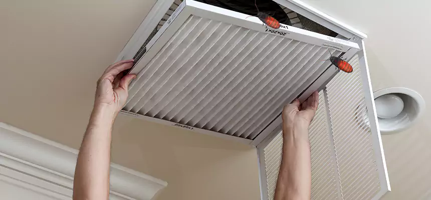Our Insect Removal from Air Ducts Services in Aberdeen, WA