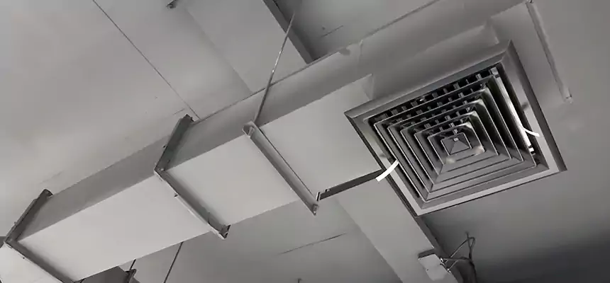 Our Rodent Droppings In Vents Services in Aberdeen, WA