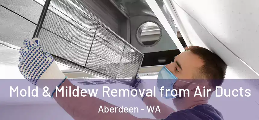  Mold & Mildew Removal from Air Ducts Aberdeen - WA