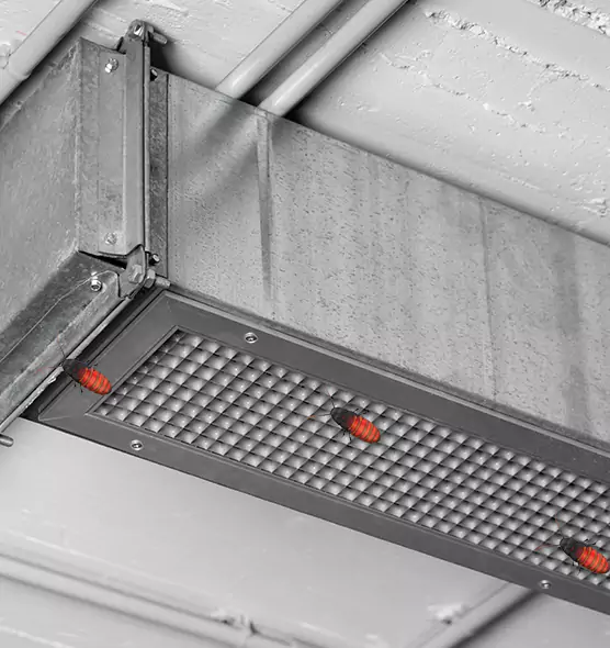 About Air Duct Cockroach Removal in Aberdeen, WA