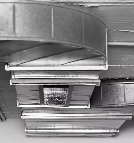 Professional Air Duct Pet Hair Removal in Aberdeen, WA