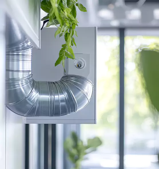 Professional Eco-Friendly Duct Cleaning Services in Aberdeen, WA