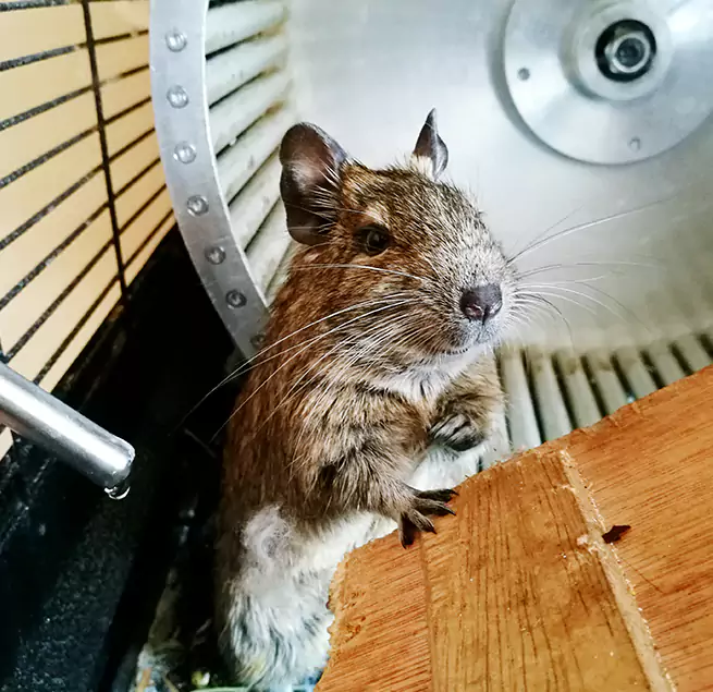 Why Homeowners & Businesses Trust Us Aberdeen, WA?